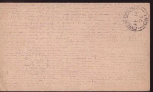 USA 1875 Liberty Postal Card to Eugenia Canada, long and tiny back message - Picture 1 of 1