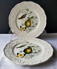 Pair of Mikasa Antique Countryside Dinner Plates Pear - NEW