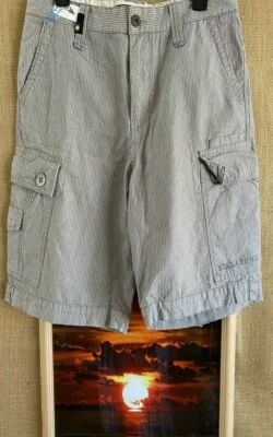 BillaBong мужские в полоску многоцветный плоский передний грузовой короткий размер 32 - Изображение 1 из 4