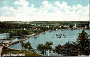 Vintage Postcard 1906 Naples Village and Long Lake NAPLES ME Maine - Picture 1 of 2