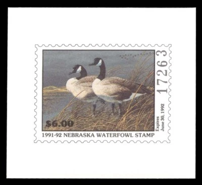NE1 Nebraska First of State Duck Stamp Proof - Image 1 of 2