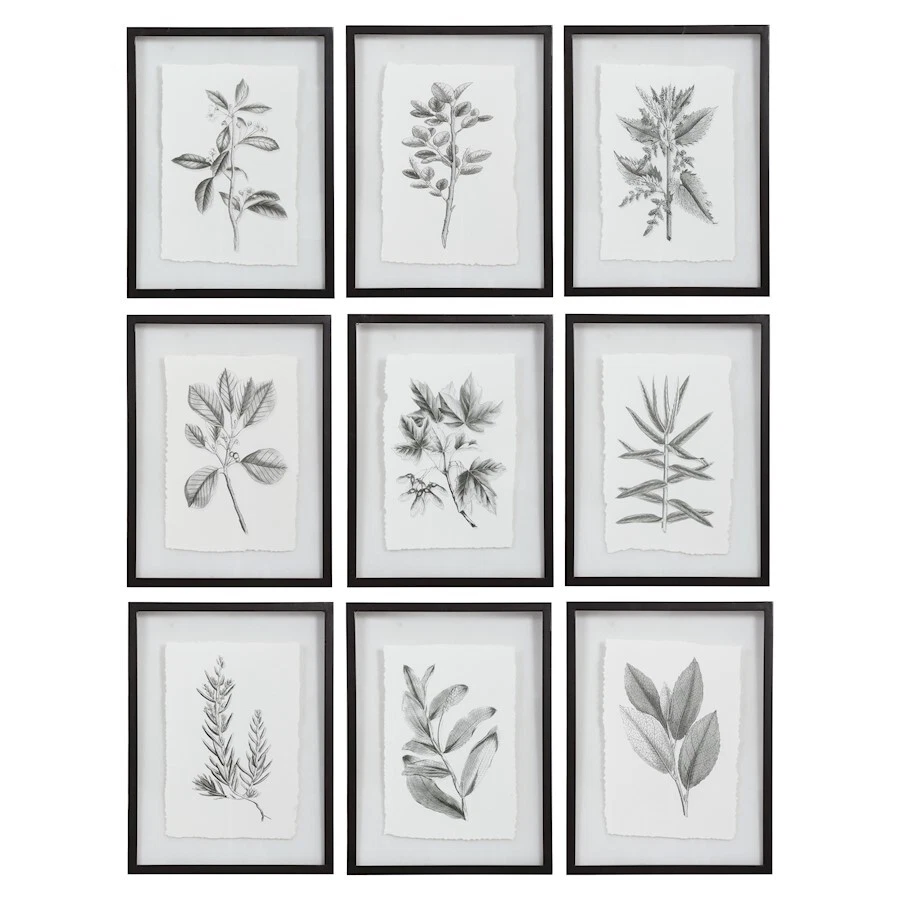 Uttermost 41617 Farmhouse Florals 23 X 18 Inch Framed Prints Set of 9