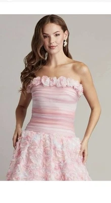 NOVO Vestido Formal Tadashi Shoji Meninas/Mulheres Rosas Rosa Coquetel Baile Akina 14 - Imagem 1 de 4