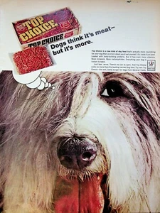 Hamburguesa de carne 1966 Top Choice comida para perros vintage años 60 anuncio impreso perro pastor inglés antiguo - Imagen 1 de 1