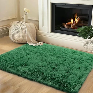 Small Rugs for Bedroom, 2X3 Fluffy Rug, Soft Fuzzy Area Rug for Living Room Dorm - Picture 1 of 12