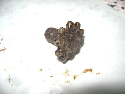 Tornillo de freno de emergencia diestro militar Jeep Willys MB GPW M38 CJ-2A/3A/3B/5/6 Foto 1 de 2