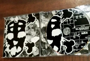 Digital Warfare - Slapshot CD 2003 Bridge Nine Records Diecast Cut Front Insert  - Bild 1 von 3