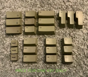 per Apple II (Apple IIe) Tappo chiave computer vintage ref.WW - Foto 1 di 2