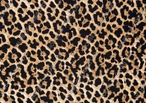 Leopardenmuster A4 ESSBARE Glasur Blatt/Verpackung - Bild 1 von 3