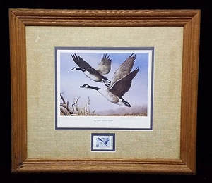 1984 "El ganso gigante de Canadá" artista impresión firmada a mano con sello postal certificado de autenticidad enmarcado - Imagen 1 de 1