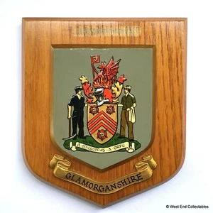 Old Glamorganshire Wales Plaque Crest Shield Coat Arms Cardiff Welsh County - Picture 1 of 3