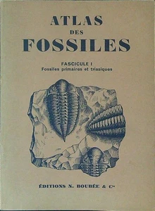 ATLAS DES FOSSILES FASCICULE I AA.VV. EDITIONS N. BOUBEE ET CIE 1971 \ BROSSURA - Picture 1 of 1