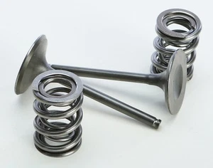 Pro X Steel Valves and Spring Kits 28.SIS4409-2 - Picture 1 of 1