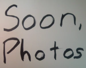 SunTour Japan Winner  6-Spd 13T-30T MTB/Road Freewheel NEW/NOS Vintage Mint+ - Picture 1 of 1