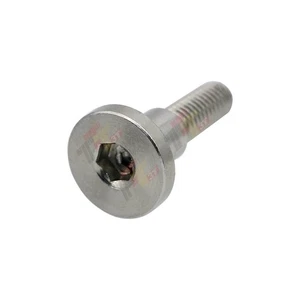 Car Intake Manifold Air Flap Stainless Steel Screws for Mercedes-Benz M272 M273 - Bild 1 von 7