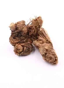 (200 Gram / 7.05 Oz) Organic Dried Church zallouh Ferula hermonis شرش الزلوع - Picture 1 of 1
