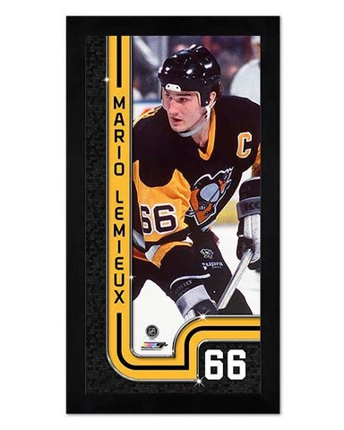 Pittsburgh Penguins Mario Lemieux 6.75" x 13" Mini Glass Front Frame NHL Hockey Cover
