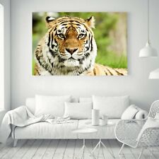 Modern Art Tiger Decorative Paint Silk Canvas Poster Wall Decor Unframed A816