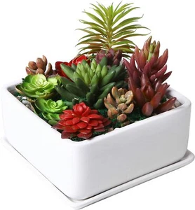 7 inch Square Ceramic Succulent Planter Pot with Drainage Tray, Window Box - Picture 1 of 7