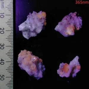 Fluorescent Apatite purple Fluorapatite mineral specimens bundle lot 44.5ct - Bild 1 von 7