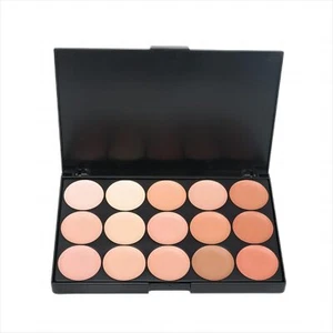 15 Colors Concealer Foundation Contouring Cream and Highlighter Makeup Set - ... - Picture 1 of 9