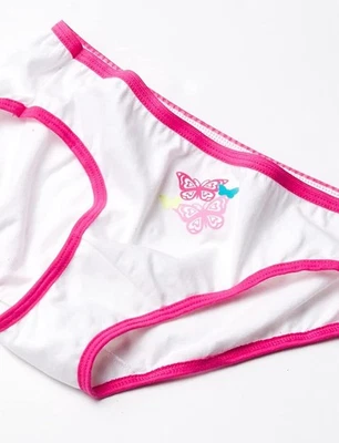 Hanes Girls 10-pack Underwear  Assorted Size 6❗️No Tags - Image 1 of 4