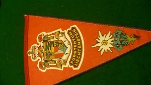 Furstentum Liechtenstein vintage pennant coat of arms 5.5" X 8" - Picture 1 of 2