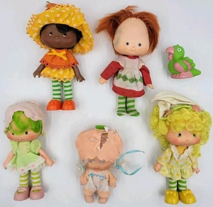 Lote Muñeca Fresa Shortcake De Colección Flor de Naranja Albaricoque Lima Limón Loro Juguetes - Imagen 1 de 15