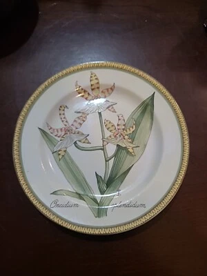 American Atelier Orchid Botanical Oncidium Splendidum Lunch Dessert Plate 8 1/8" - Image 1 of 2