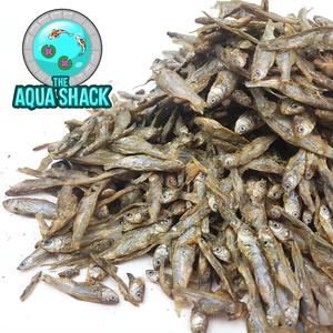 Pez entero seco natural cebo blanco sprats alimento tortuga terrapina reptil anfibio - Imagen 1 de 1