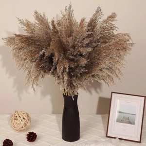 Axmon Natural Seco Pampas Hierba 18"/1.5 Pies de Alto Seco Pampas Hierba Espo... - Imagen 1 de 7