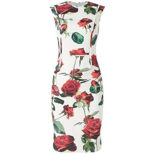 phase eight ebay dresses size 14 soonest first