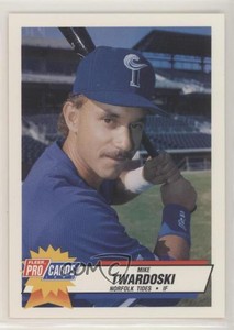 1993 Fleer ProCards Minor League Mike Twardoski #2579