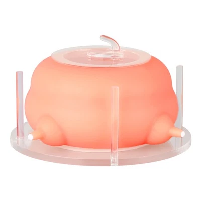 ZALBYUY Puppy Feeder for Multiple Puppies, Milk Feeder With Silicone Nursing Station ...