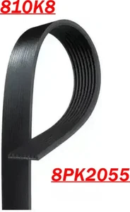 DriveWorks 810K8 / 8PK2055 /K080810 Serpentine Belt - Picture 1 of 5