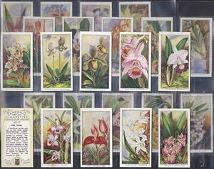 CARRERAS-FULL SET- ORCHIDS 1925 (24 CARDS) EXCELLENT - Picture 1 of 1