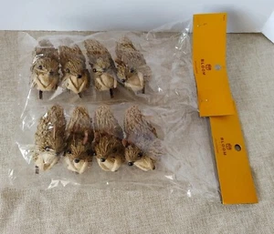 Clip de ardillas con clip para sala de flores 1728-2781 2 paquetes 8 ardillas  - Imagen 1 de 6