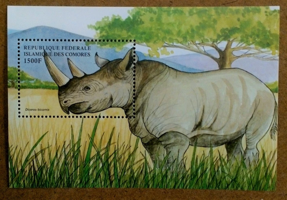 CLÁSICOS DE COLECCIÓN - Comoras 1999 - Rinoceronte negro - Hoja de recuerdo - MNH Foto 1 de 1