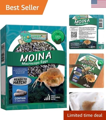 Moina Macrocopa Eggs Water Flea Live Fish Food for Hatching and Culture Suita... - Image 1 of 4