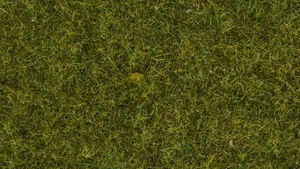 NOCH hierba silvestre "Prado" para modelismo, 9 mm, bolsa de 50 g ideal para anchos de vía 0, - Imagen 1 de 6