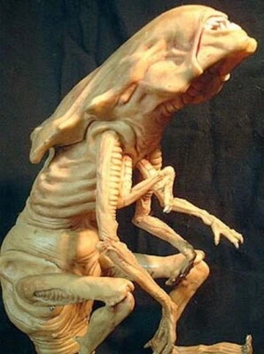 17"Long QUEEN ALIEN CHEST BURSTER Sci-Fi Classic MoviesUnbuilt VinylModelKit 1/1 - Image 1 of 3