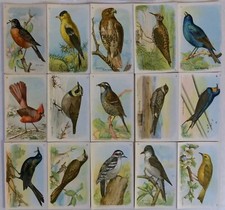 Birds Useful Birds of America 5th 15 Card Set Type 2 Church & Dwight J-9