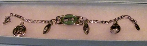 NEU! Seattle Seahawks Football Bettelarmband Figarokette 6" bis 8" mit Geschenkbox - Bild 1 von 5