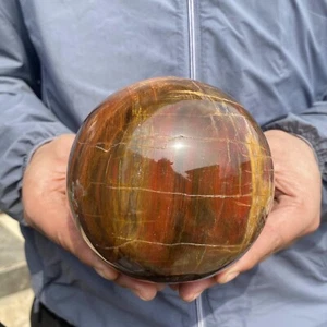 5 Pfund große natürliche versteinerte Holz Stein Kugel Mineralien Kristall Heilung - Bild 1 von 12