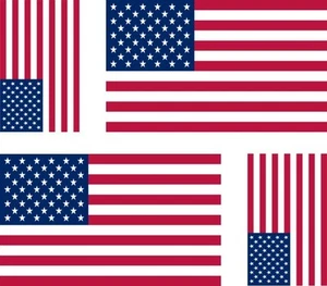 4x sticker Adesivo Adesivi Vinyl bandiera usa stati uniti america americana - Foto 1 di 1