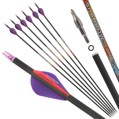 31" Pure Carbon Arrows Shaft Bow Hunting Target SP250-600 Screw Point 2" Vanes - Image 1 of 4