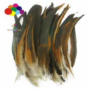 Piume naturali 100 pezzi 12-14 pollici/30-35 cm coda di pollo di gallo fai da te artigianato - Foto 1 di 7