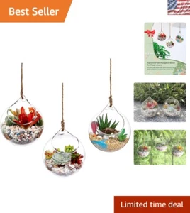 Versatile 3-Pack 4.7 Inch Hanging Glass Orbs for Succulents and Air Plants - Picture 1 of 11
