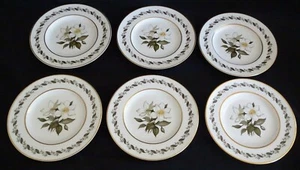 Royal Worcester Inglaterra Bernina Juego de 6 platos de ensalada porcelana de hueso - Imagen 1 de 6