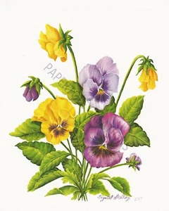 Paper tole Kit-SB1-Geme Art-RDM-IM94 Purple and Yellow Pansies - Picture 1 of 1